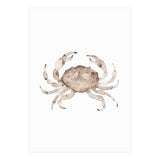 Crab (Print Only) thumbnail