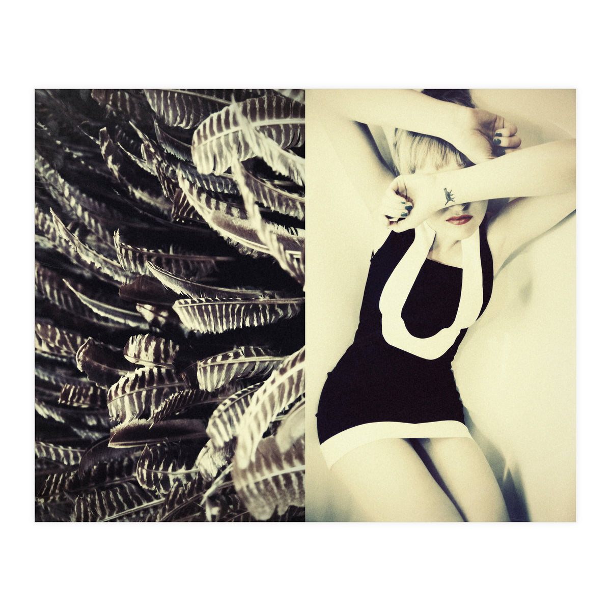 Featherish (Print Only)