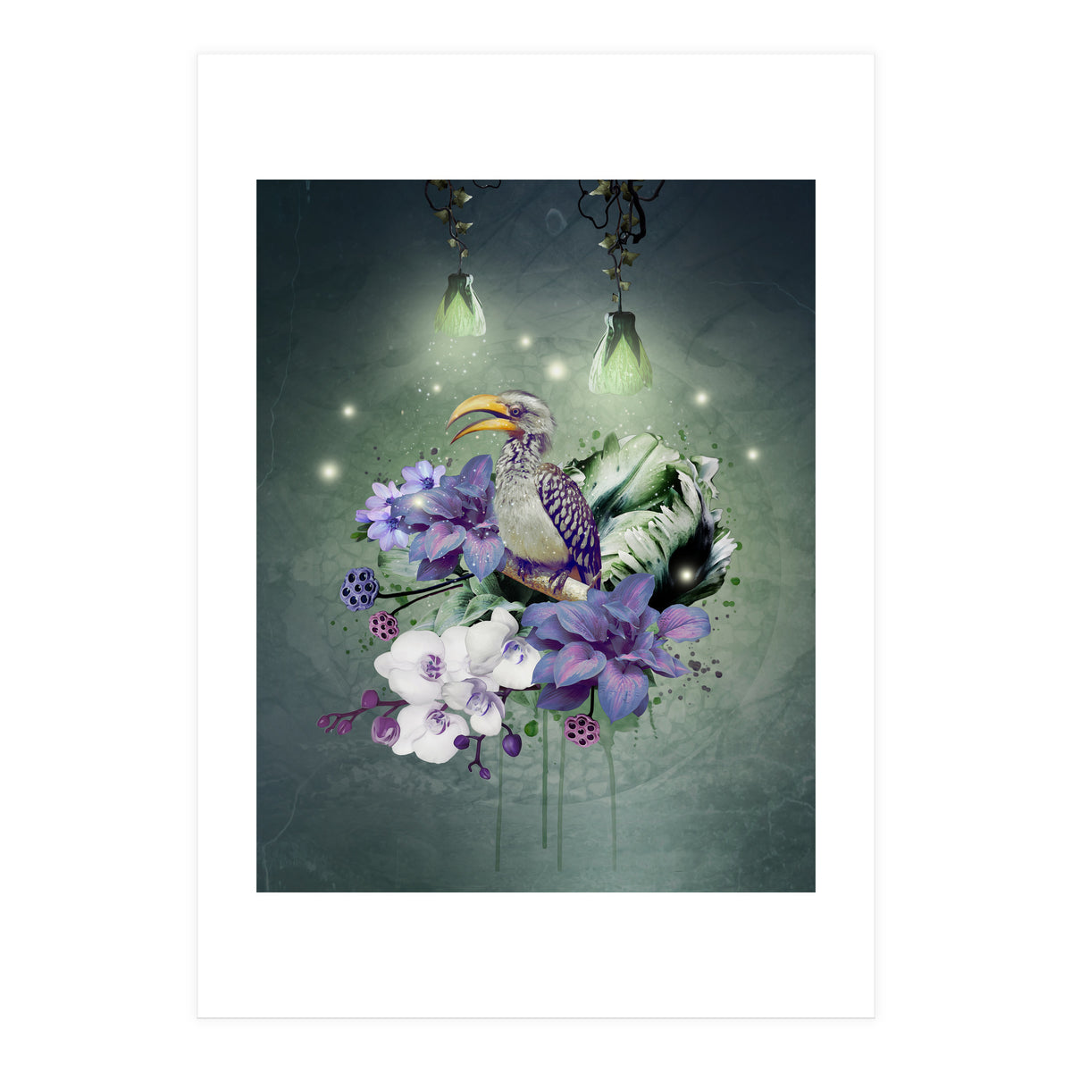 Floral Magic Hornbill  (Print Only)