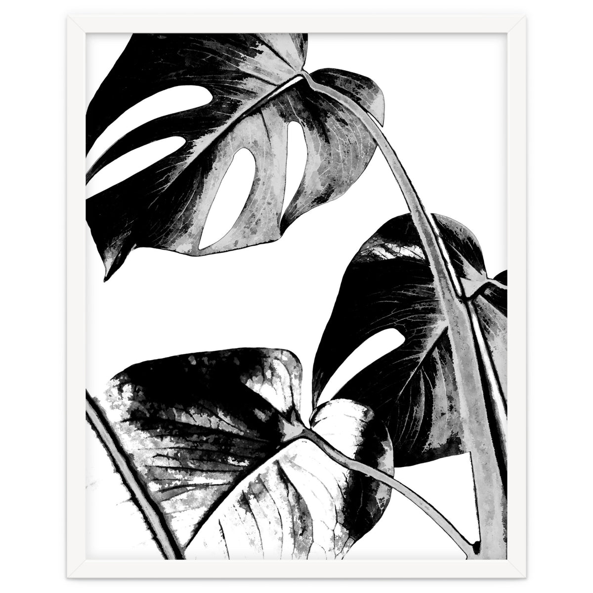 Black Tropical Leaves