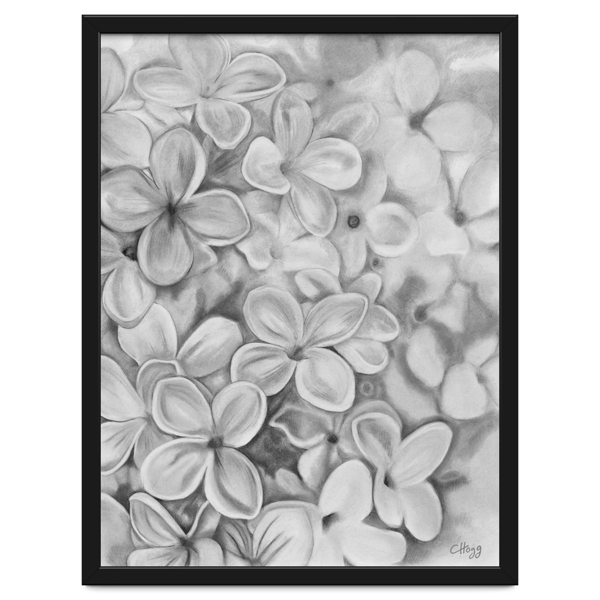 The Essence Of Spring in Monochrome