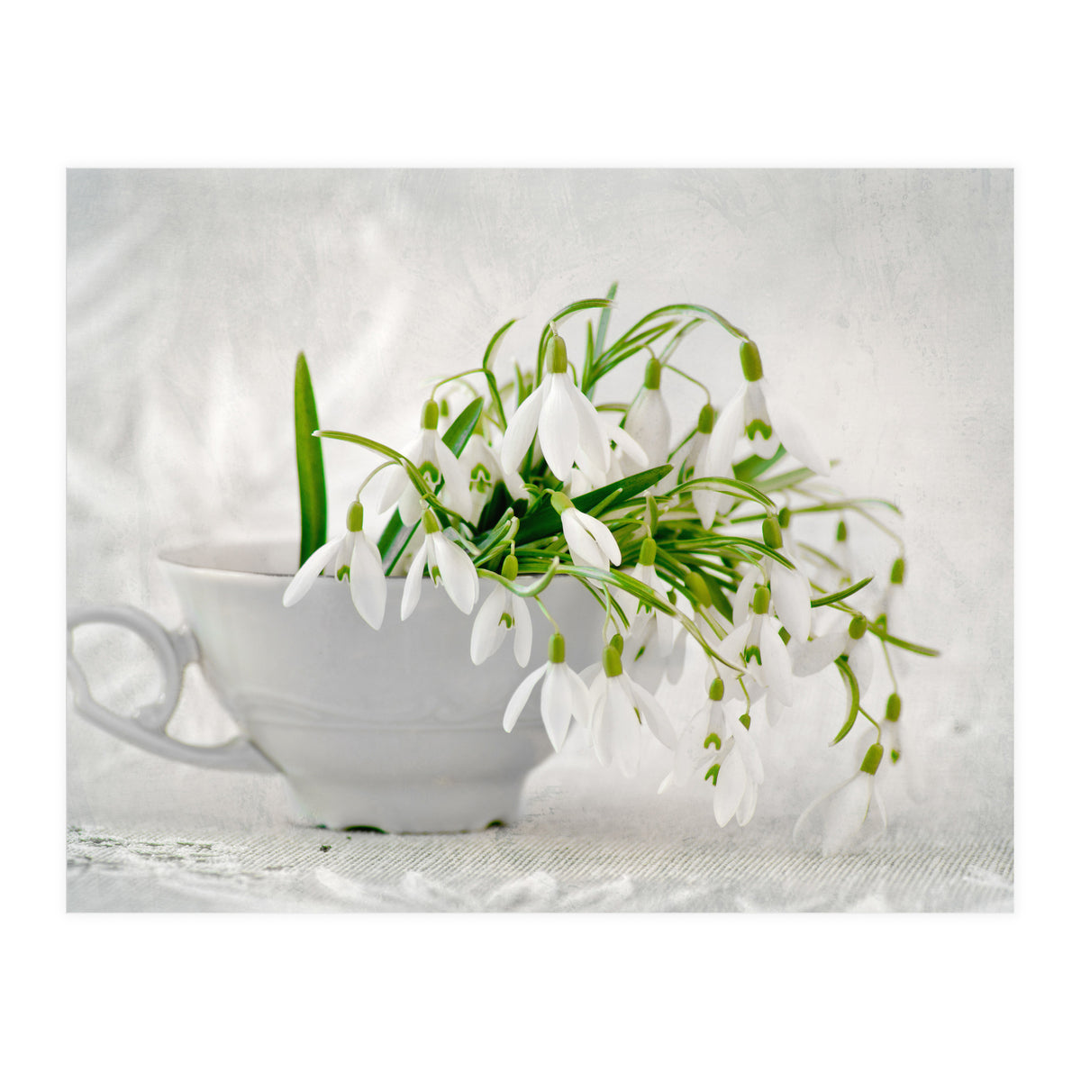 Snowflakes (Print Only)