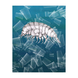 Eurythenes Plasticus (Print Only) thumbnail