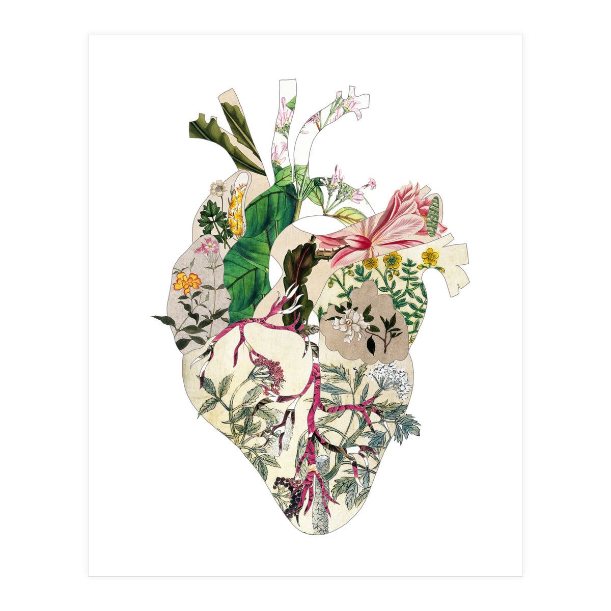 Vintage Botanical Heart (Print Only)