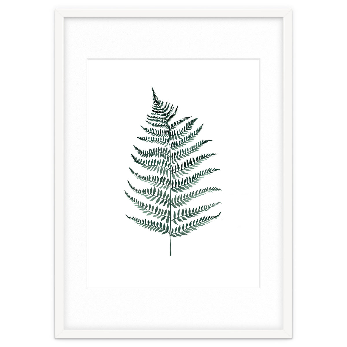 Botanical Illustration Silverfern