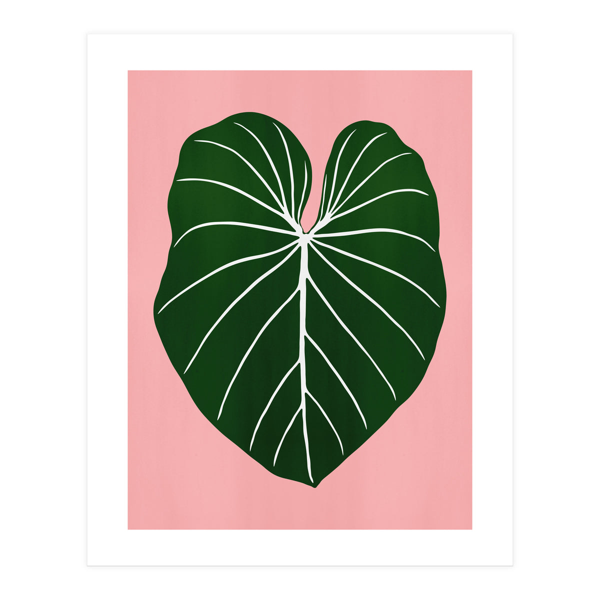 Leaf 05 (Print Only)