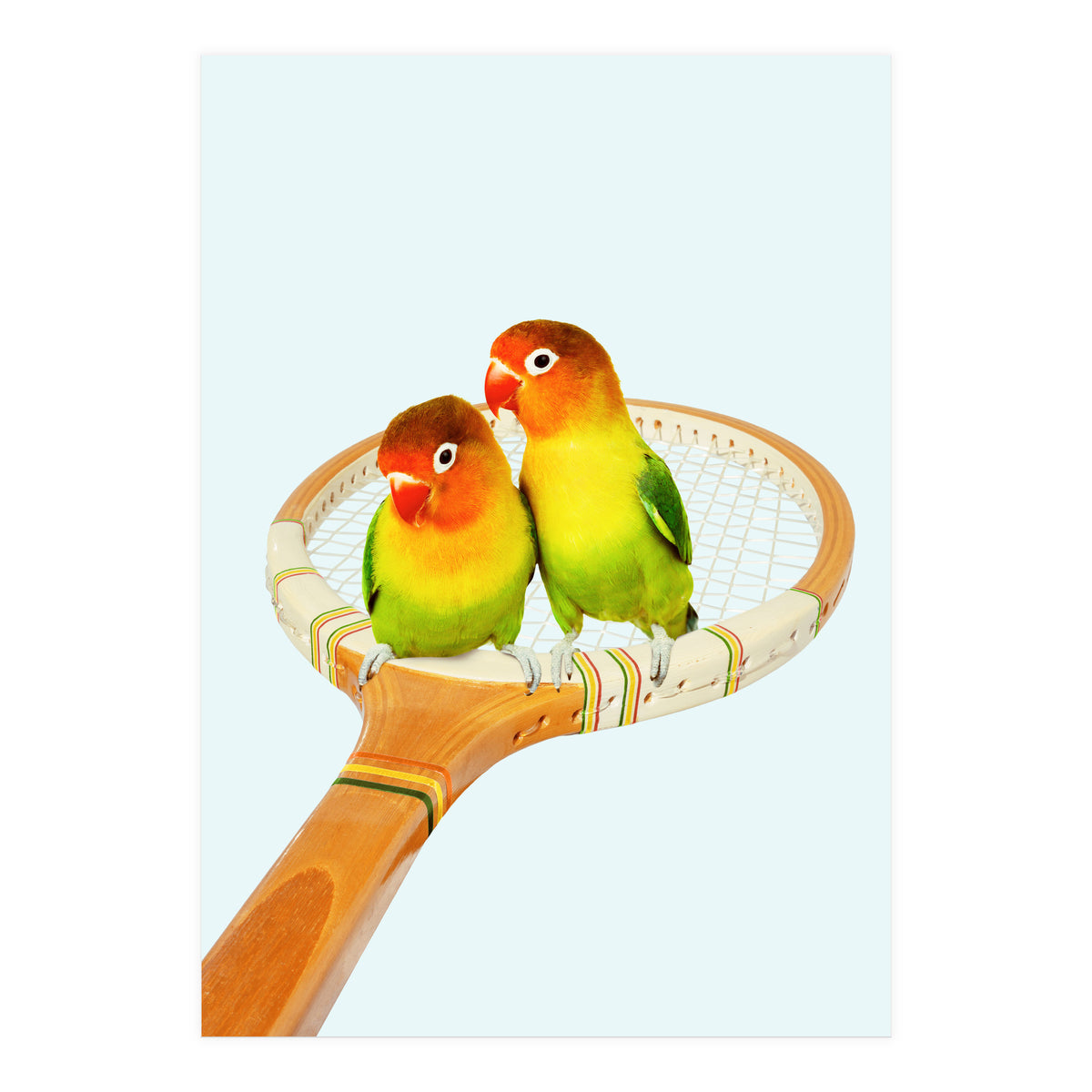 Retro Birds (Print Only)