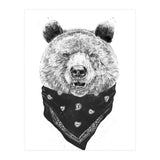 Wild Bear (Print Only) thumbnail