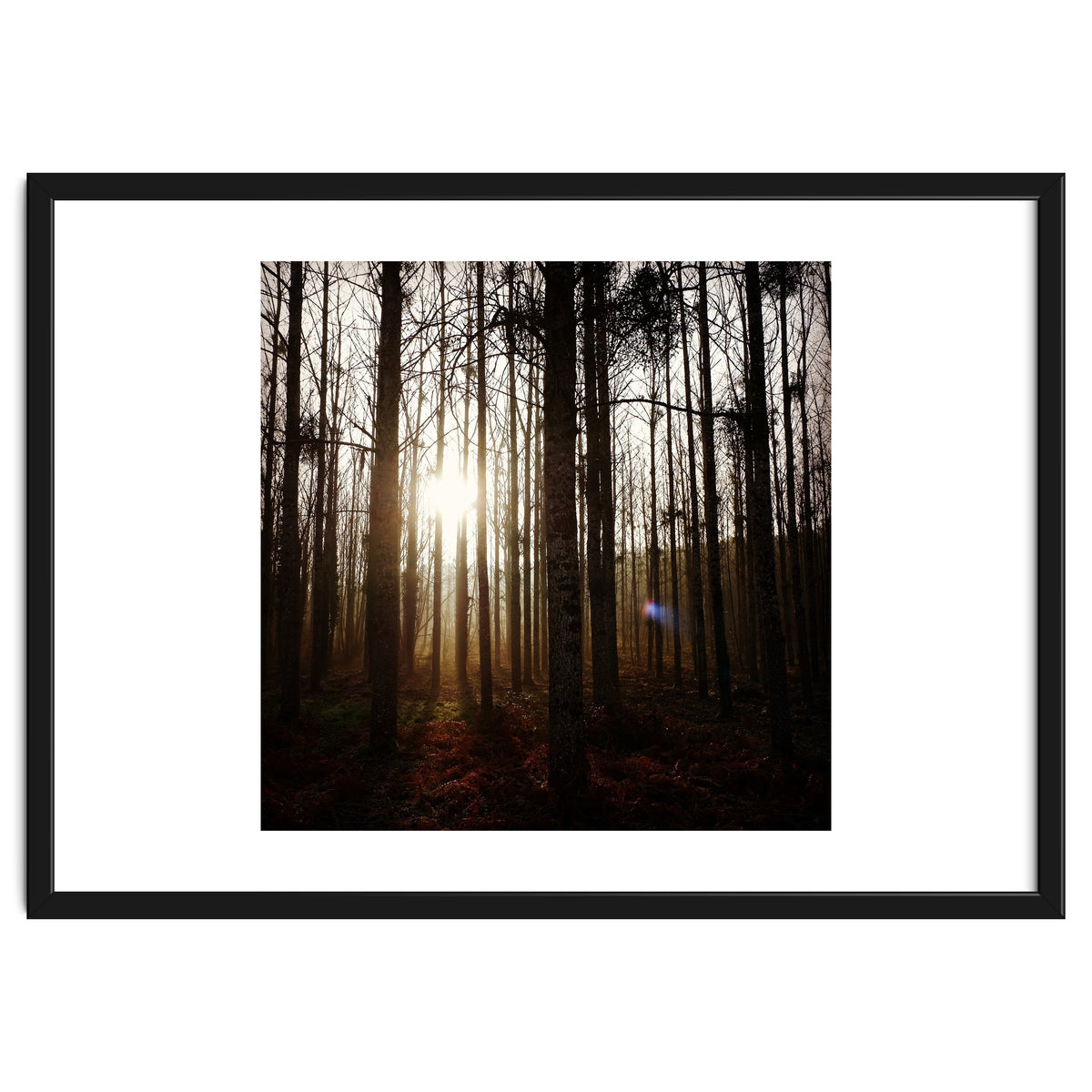 D3 A0 Cf3 E 6509 400 C 926 D 905230 D93 F61