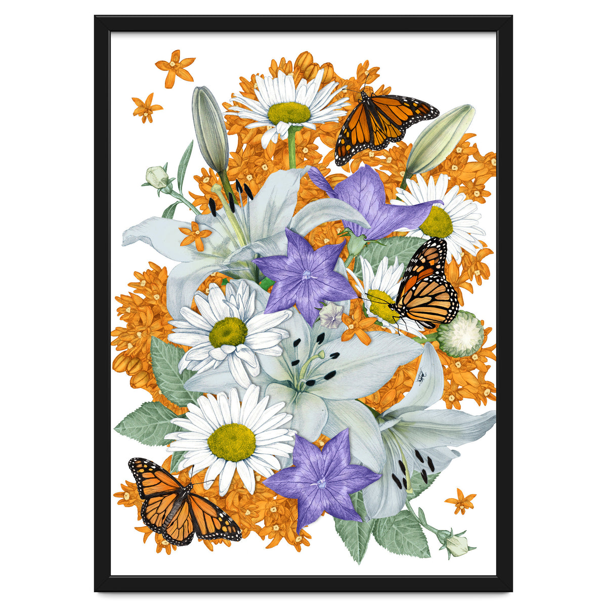 Lillies and Monarchs