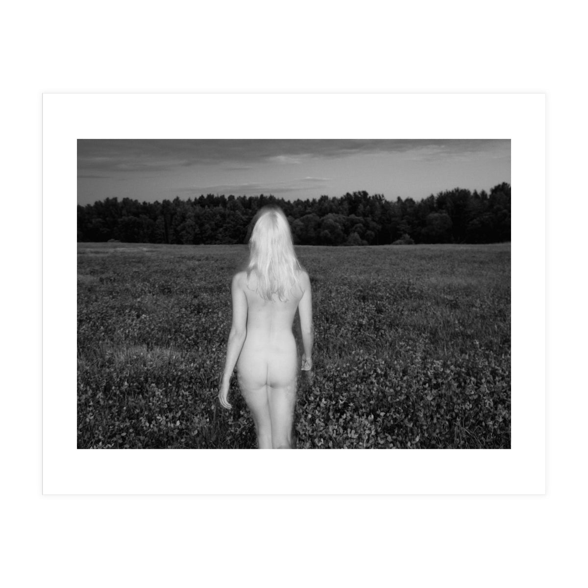 Wild Tales (Print Only)