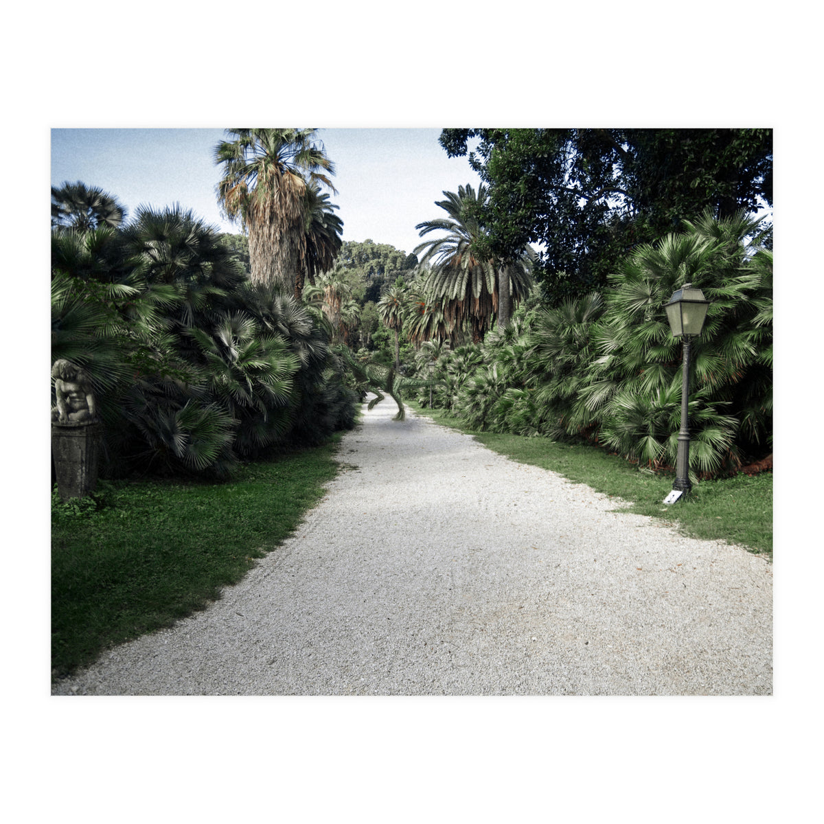 Fuckin' Fossil (Print Only)