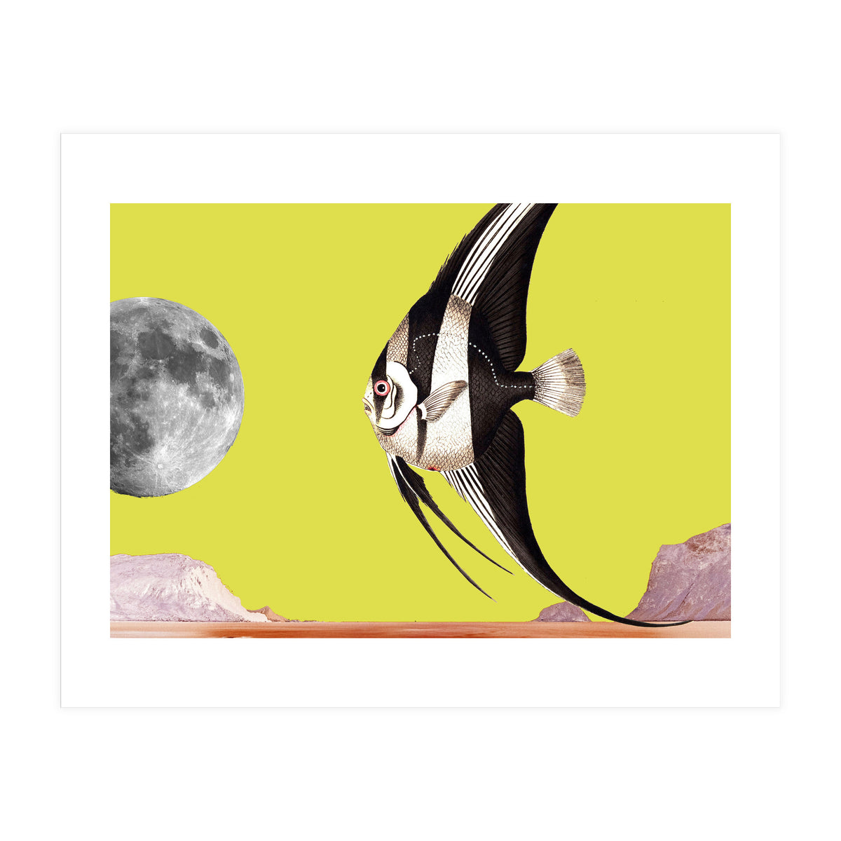 Plenty of fish in the sea yellow (Print Only)