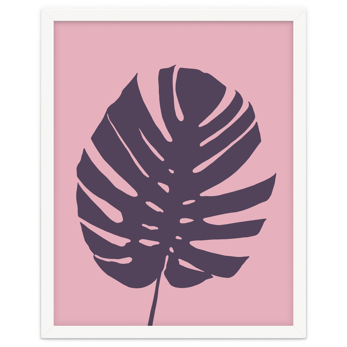 Monstera Deliciosa III