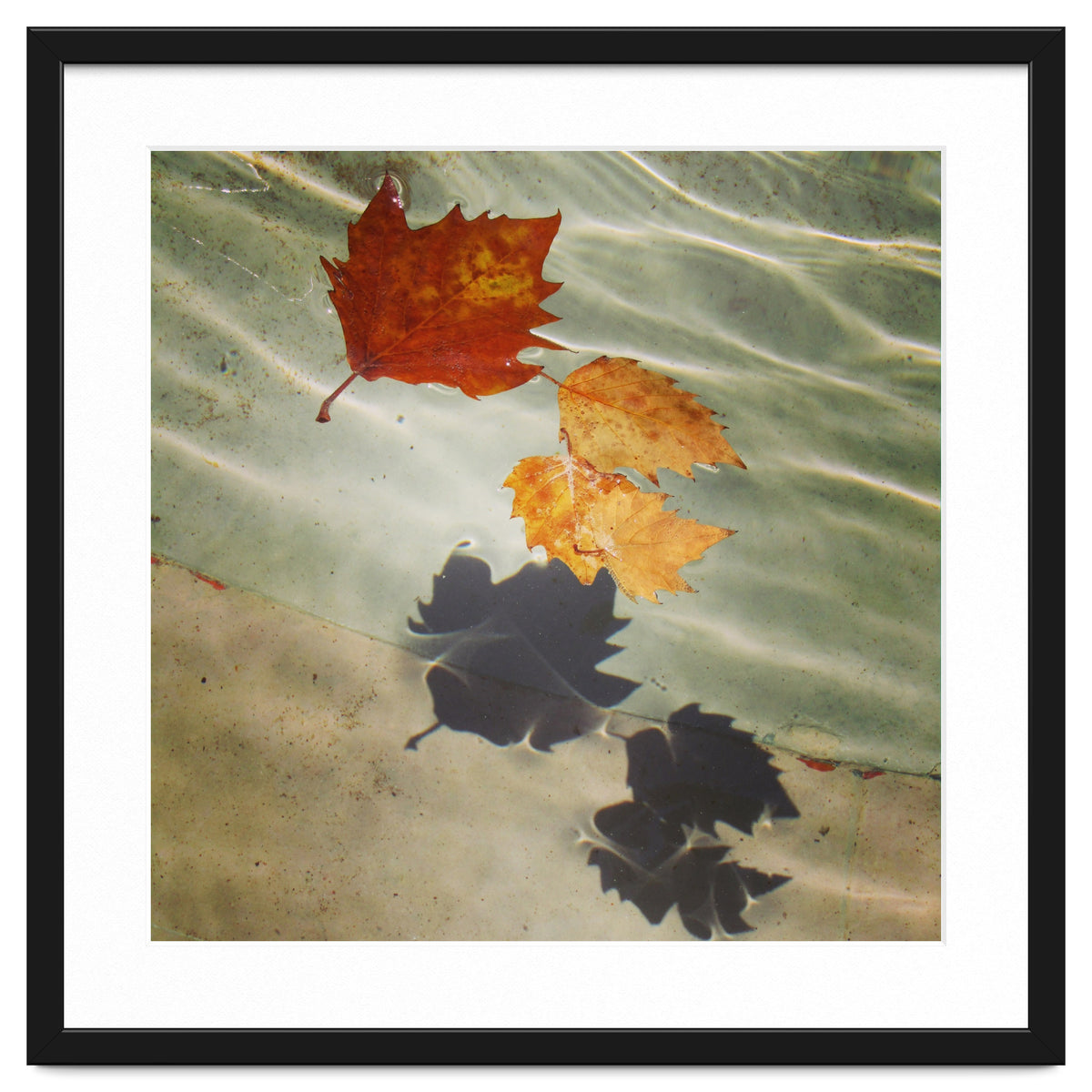 Floating leaves