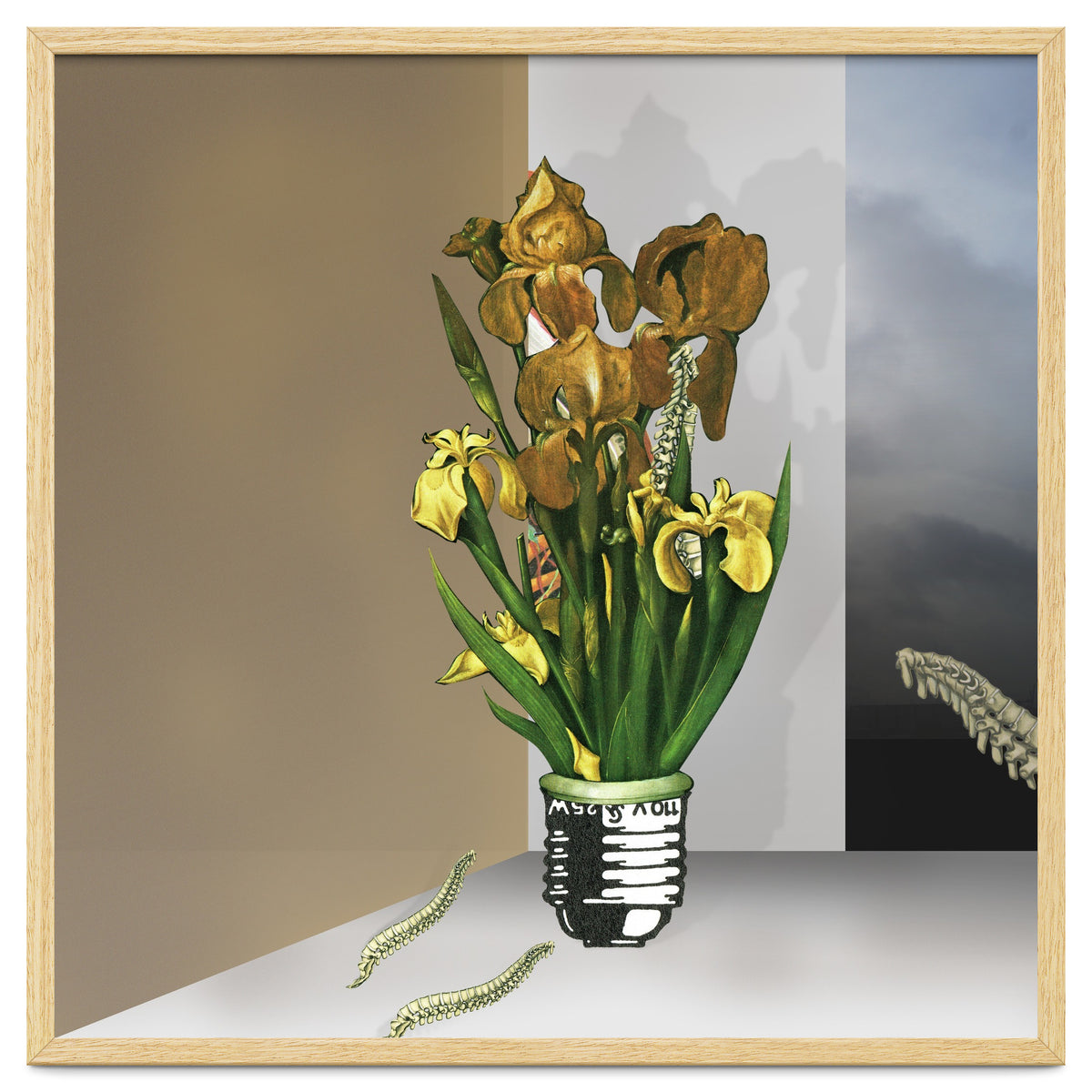 Das Licht Der Pflanze