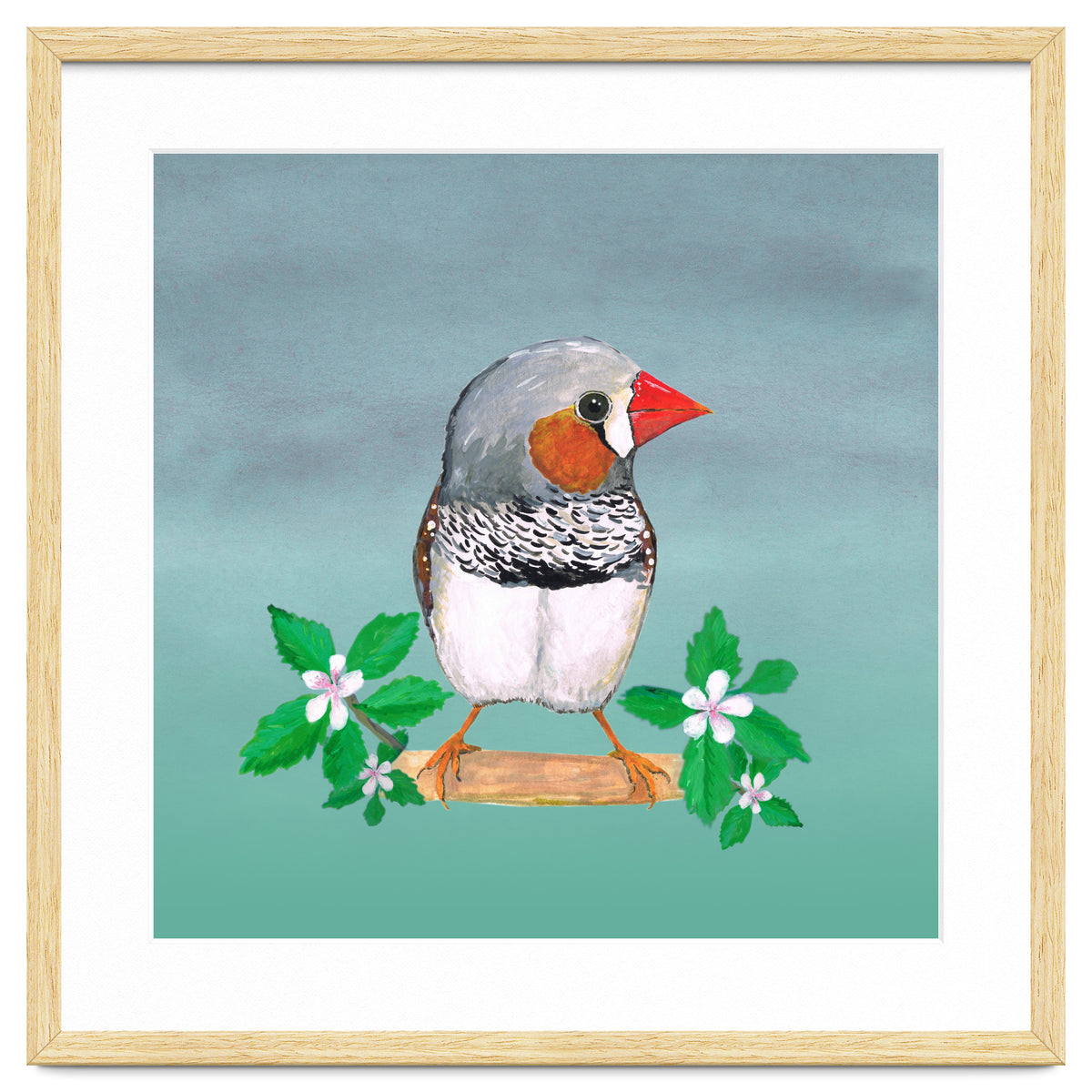 Zebra finch