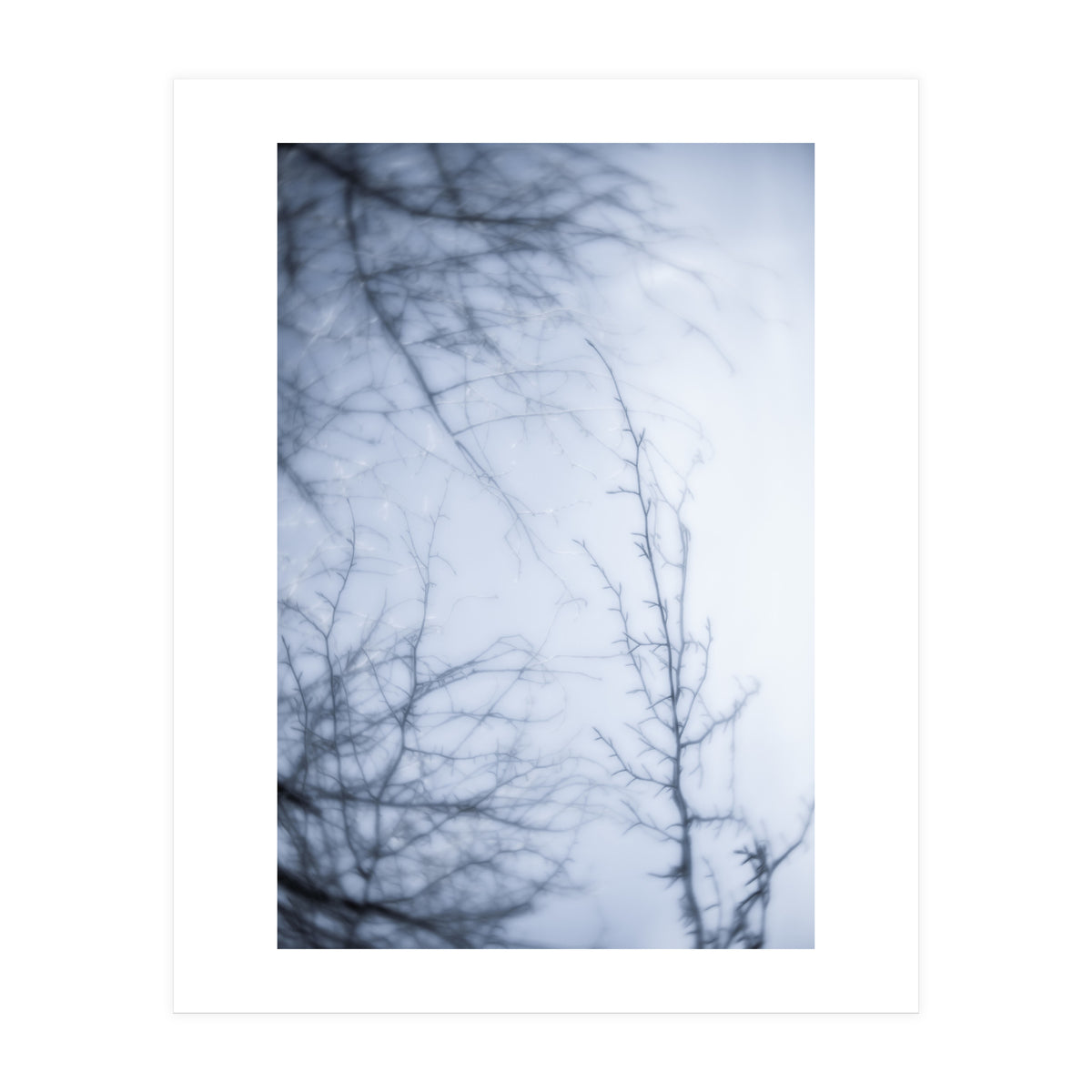 Forgotten Memories of Summer #21 (Print Only)