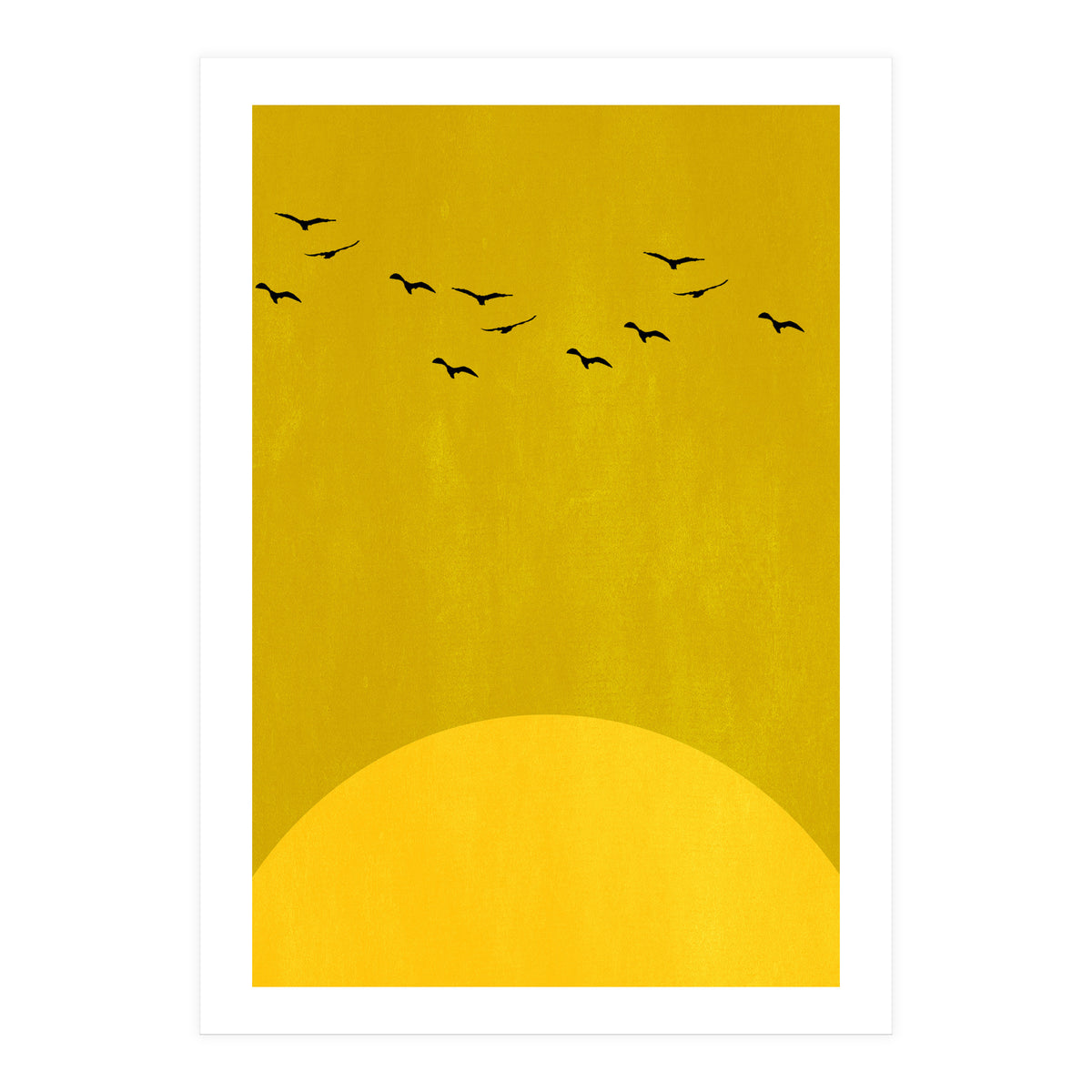 Sundance (Print Only)