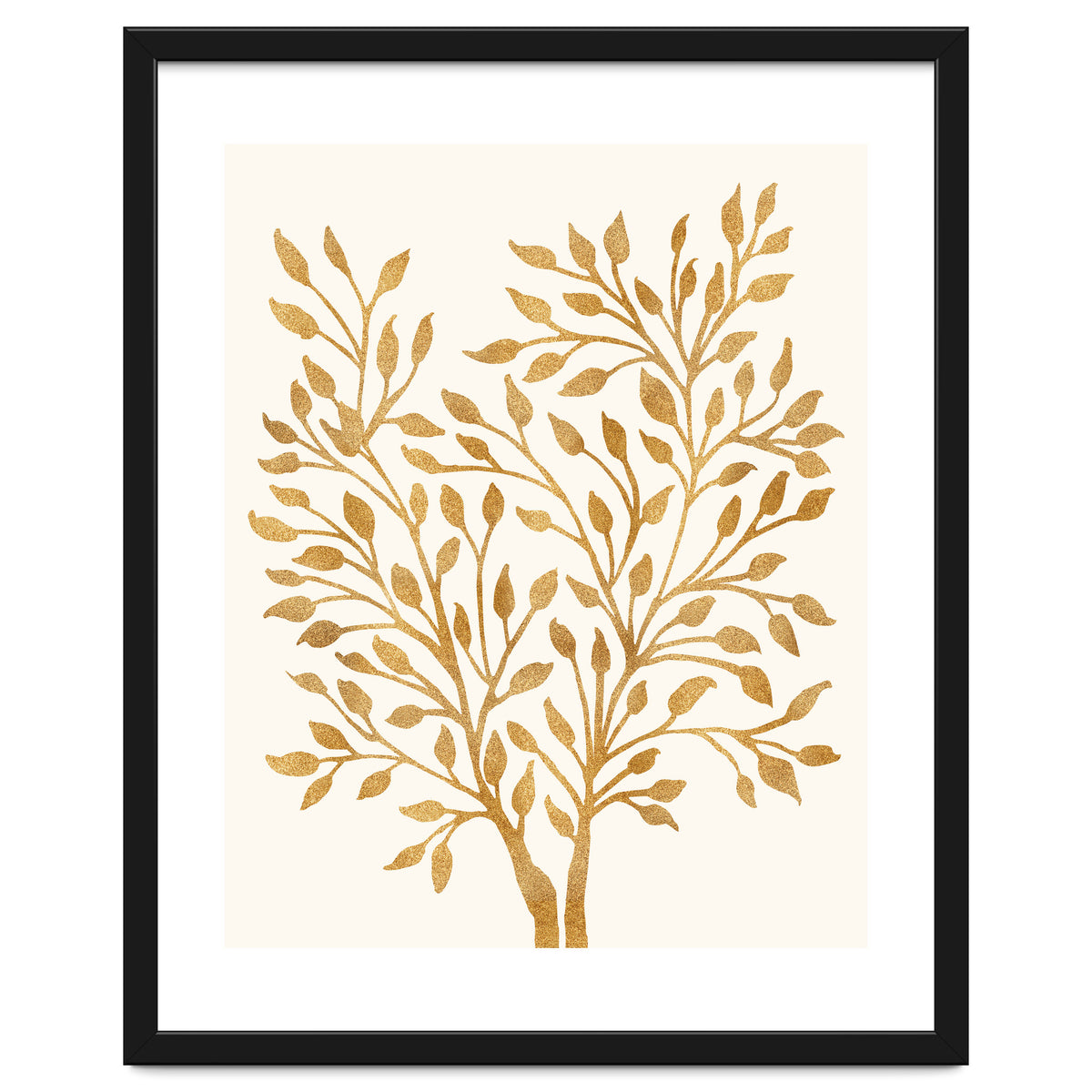 Golden Ficus 4x5