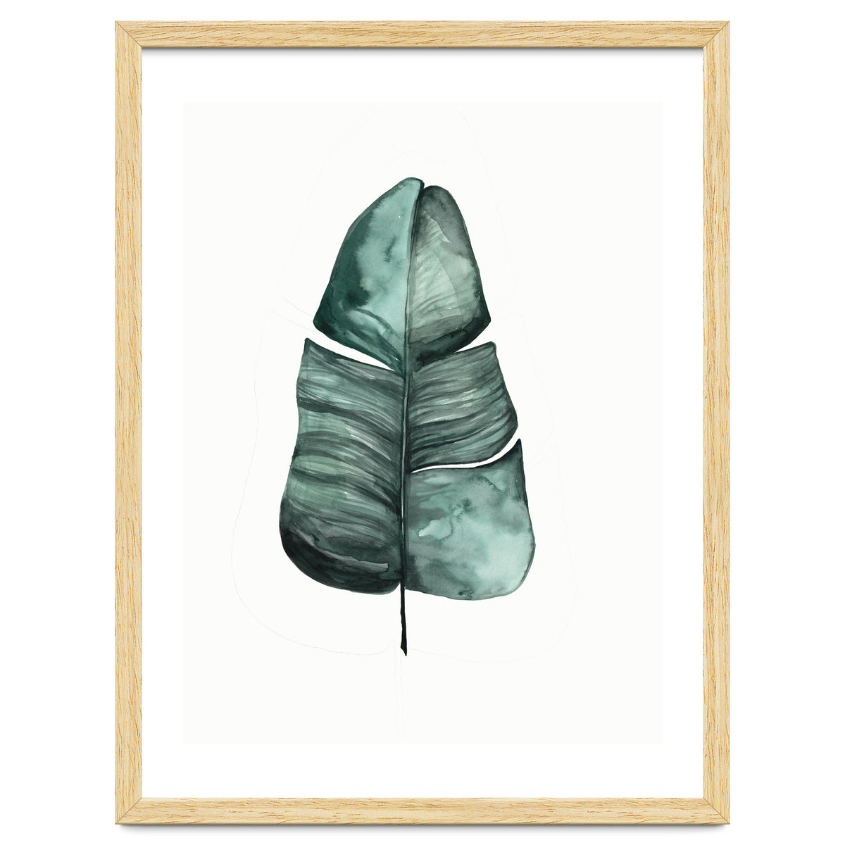 Botanical Illustration Banana Leaf
