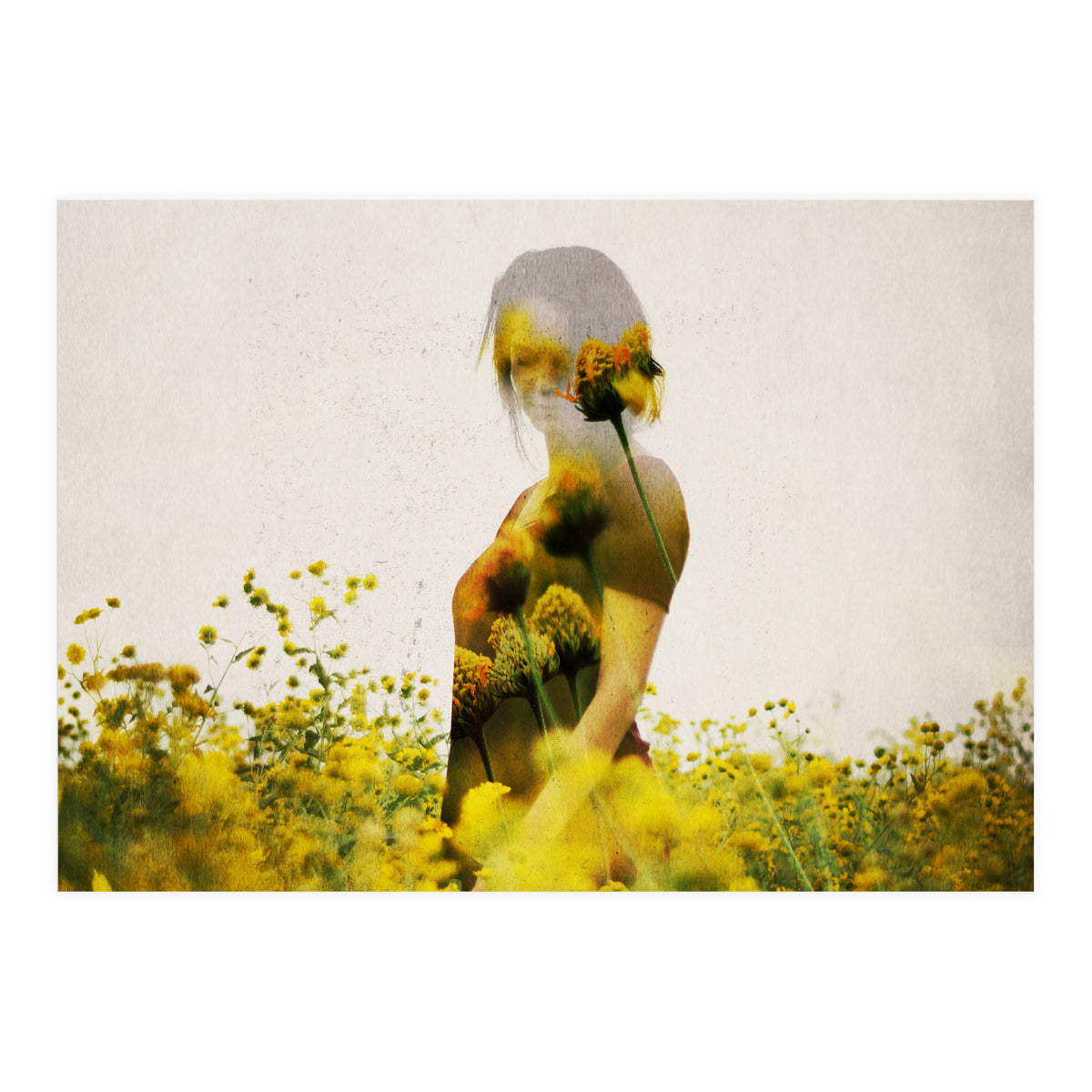 Yellow Meadow (Print Only)