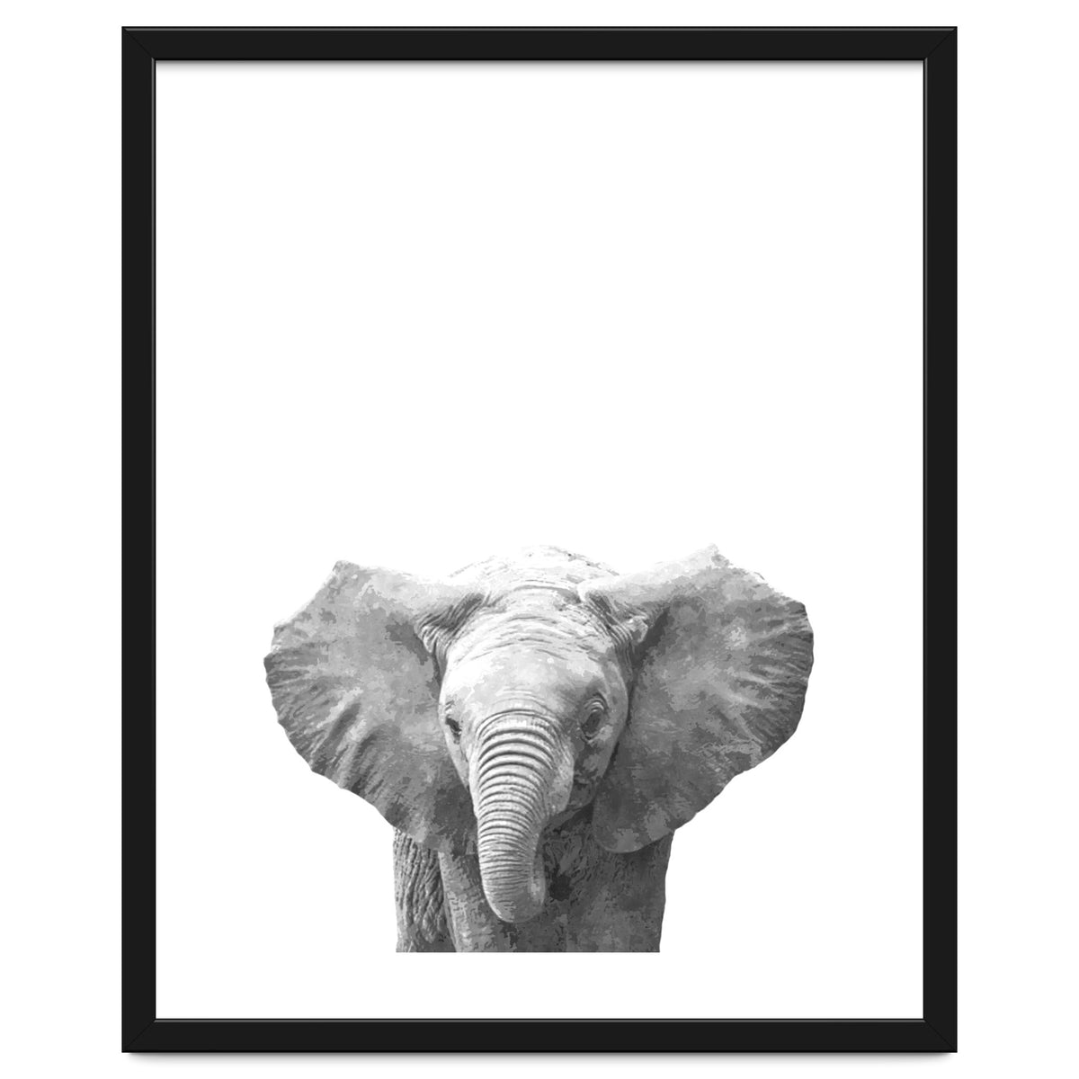 Black and White Baby Elephant