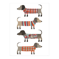 Sausage Dogs In Sweaters (Print Only)