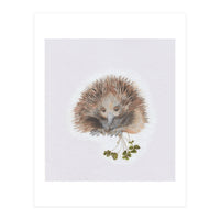 Echidna - Australian Animal Series (Print Only)