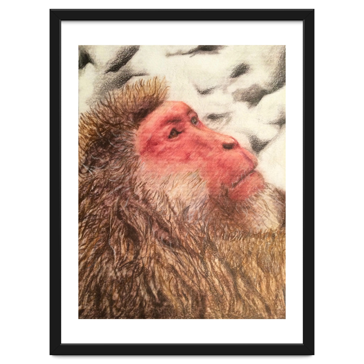 Japanese Macaque At The Onsen