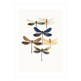 Cc Insects 10 (Print Only) thumbnail