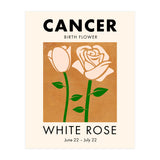 Cancer Birth Flower White Rose (Print Only) thumbnail