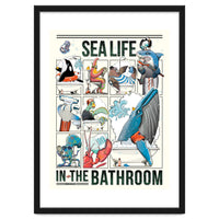 Sea Life in the Bathroom