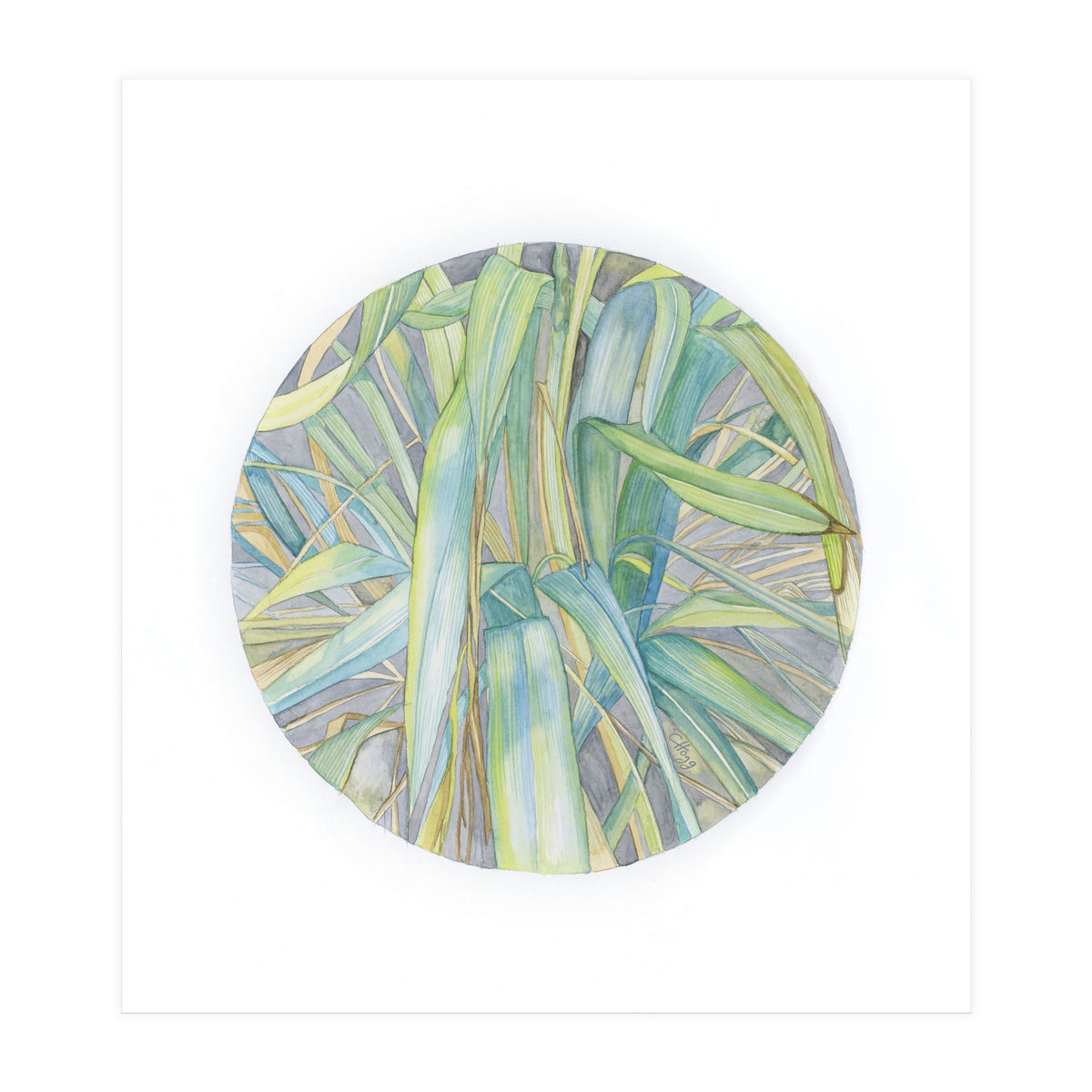 Grasses In The Late Summer Light (Print Only)