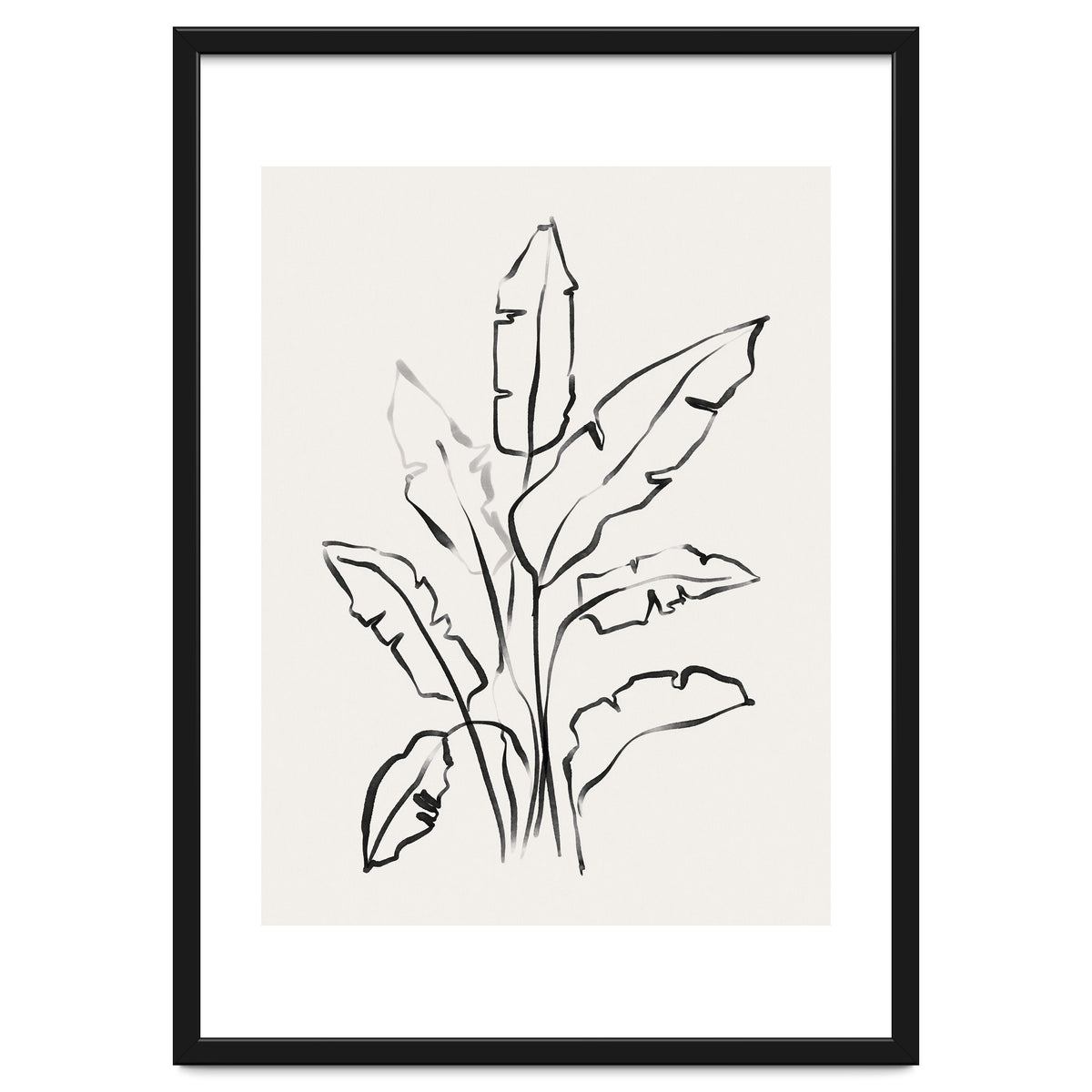 Banana Leafs Drawing