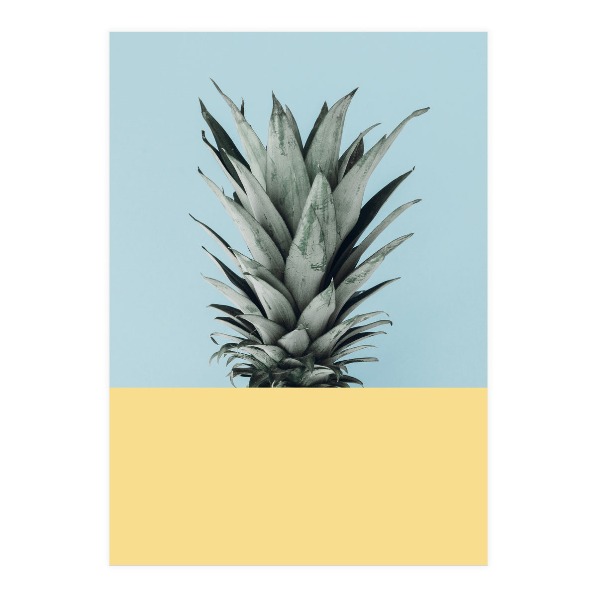 Scandinavian pineapple III (Print Only)
