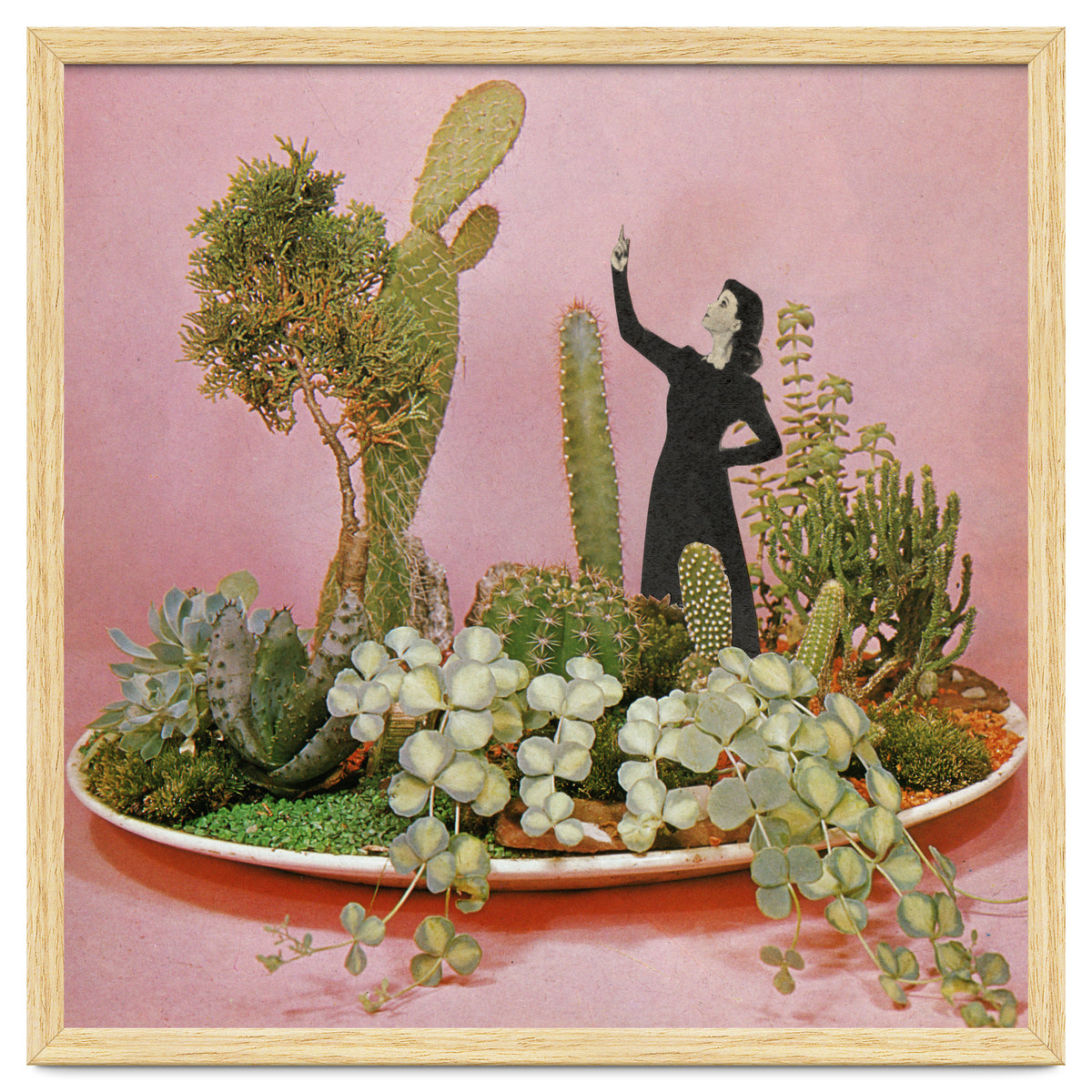 The Wonders Of Cactus Island