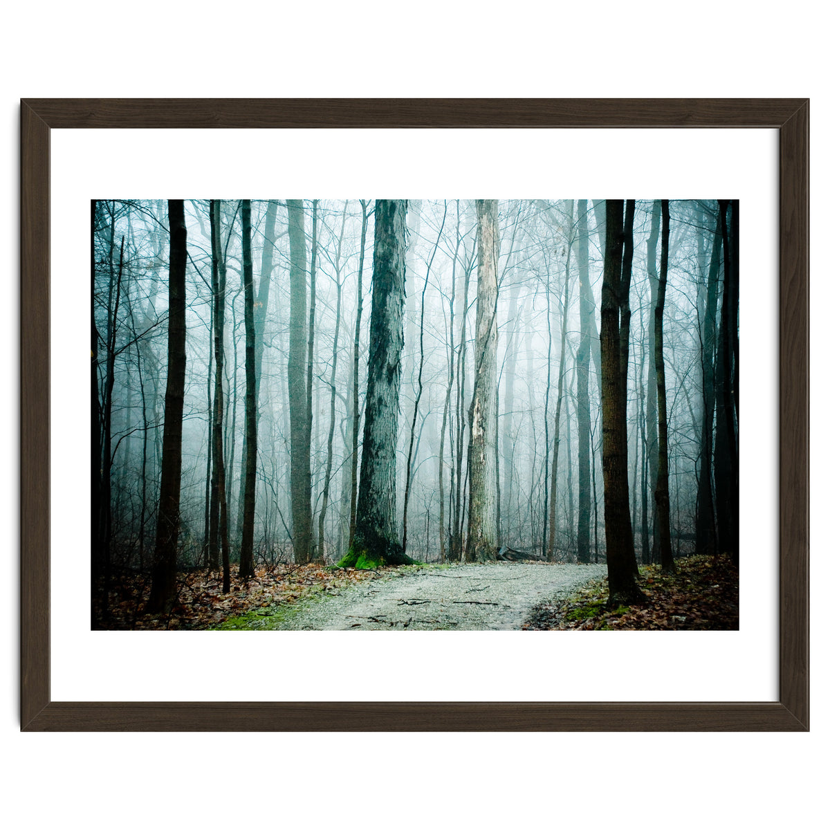 Gather Up Your Dreams