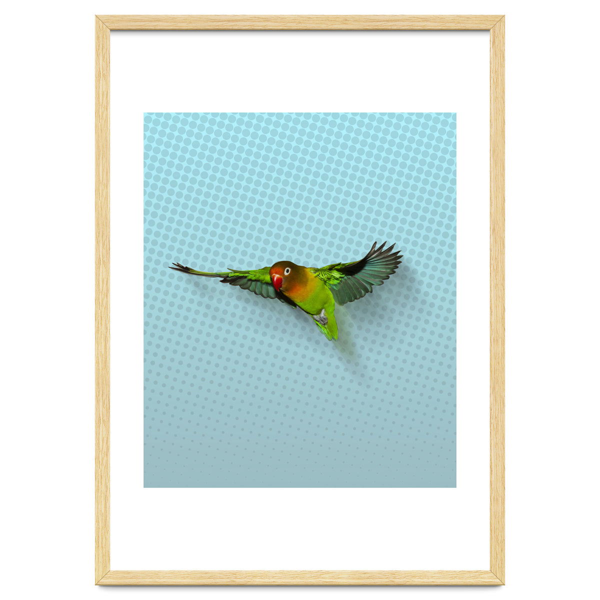 Flying lovebird