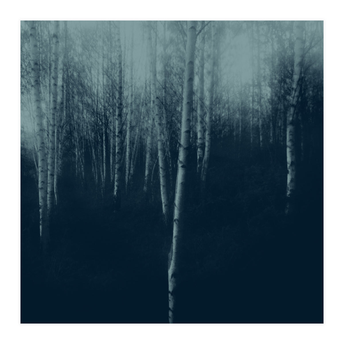 deep veins I (Print Only)