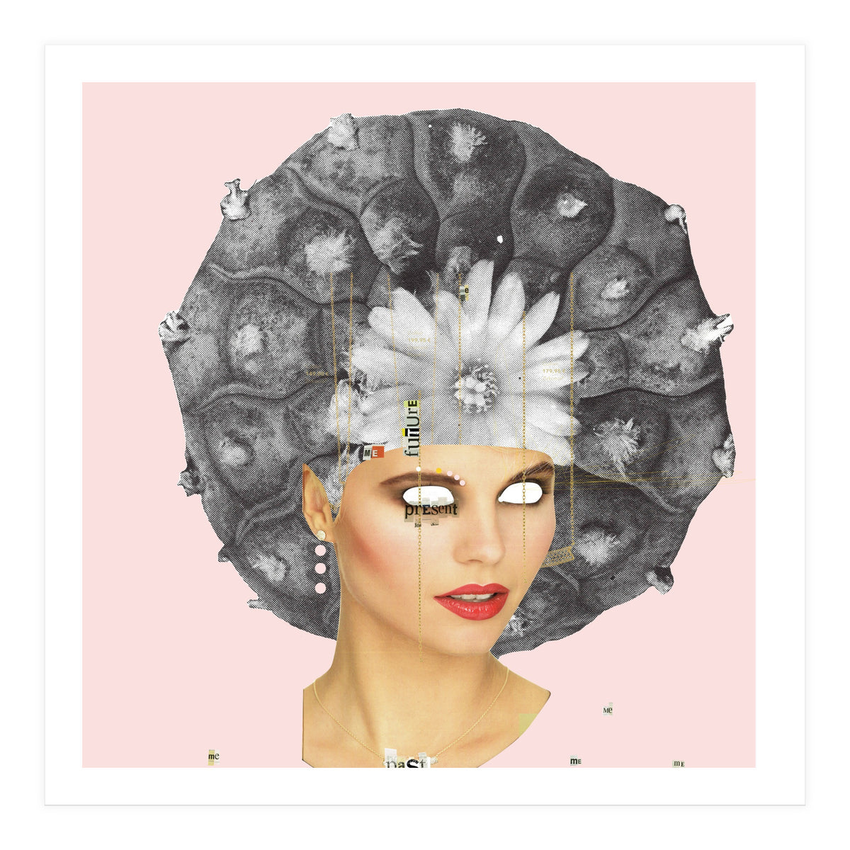 Rosa, Present (Print Only)