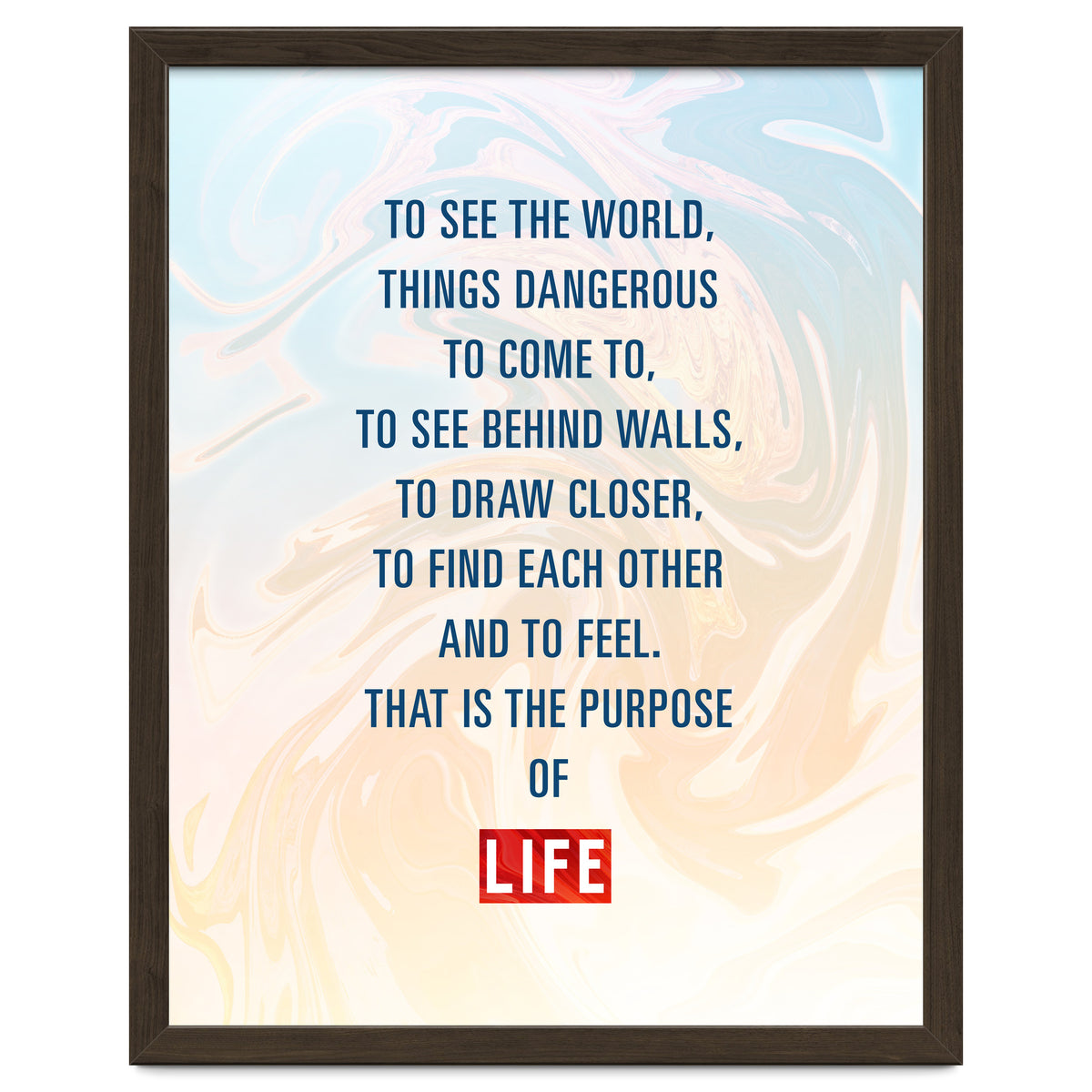 Secret Life of Walter Mitty