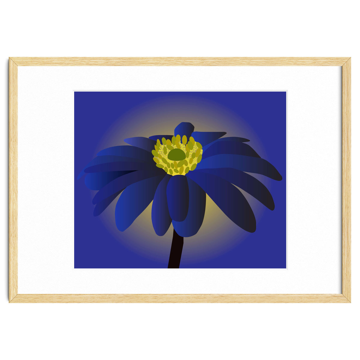 Anemone Blanda Flower Art