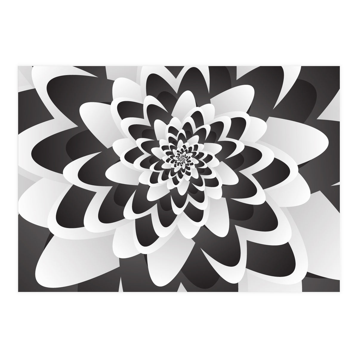 Mono Chrome Flower Spiral   (Print Only)