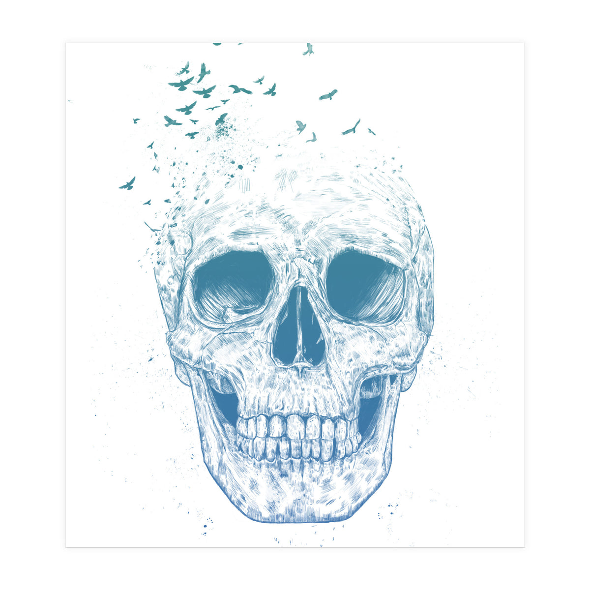 Let Them Fly Ii (Print Only)