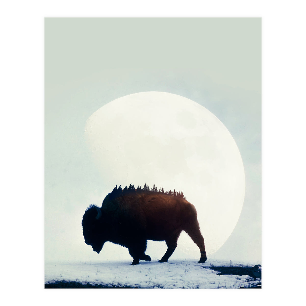 Wild West (Print Only)