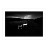 black and white (Print Only) thumbnail