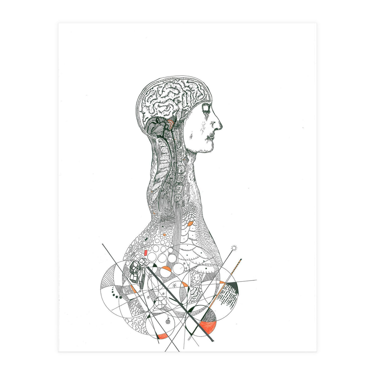 Anatomy (Print Only)