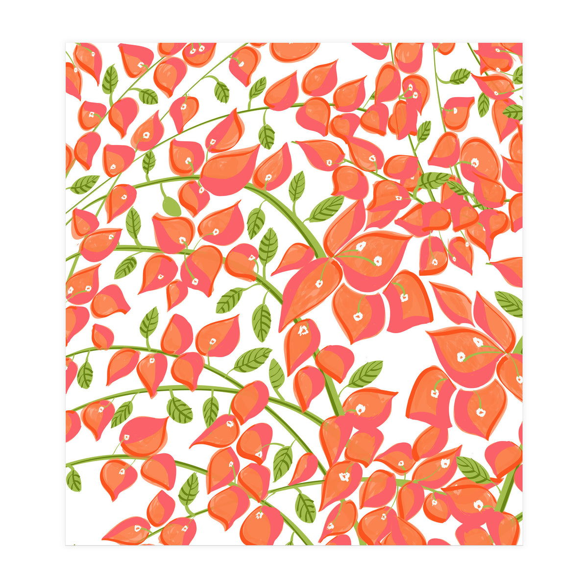Bougainvillea Blush (Print Only)