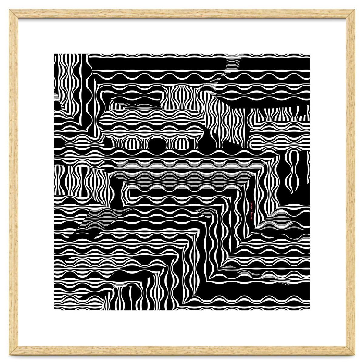 BLACK AND WHITE EXOTIC